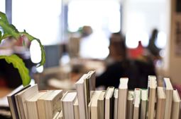 Imagen del artículo El Gobierno destina 139 millones de euros a programas de inserción laboral